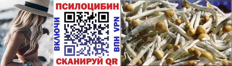 где купить   Серов  дарк нет клад  Псилоцибиновые грибы Psilocybine cubensis 